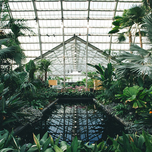 大胸美女被插在线观看
