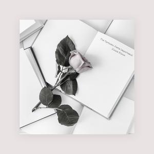 大胸美女被插在线观看
